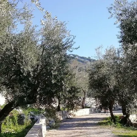 Regina Itri
